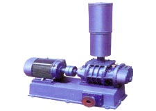 3L-80WD羅茨鼓風(fēng)機(jī)