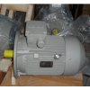 1LE0002 5.5KW-4極立式變頻調(diào)速三相異步電動機(jī)