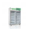 賽力斯雙門陰涼柜 藥品冷藏柜 冷藏展示柜 制冷設(shè)備