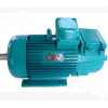 YZR250M1-6 37kw起重冶金用電動(dòng)機(jī)單軸/雙軸