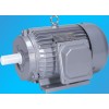 A02系列三相異步電動(dòng)機(jī)微型電機(jī)
