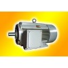 德州恒力Y-H系列船用三相異步電動機(jī)低壓電機(jī)