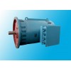 德州恒力YCTJ-H系列船用側(cè)向推進器三相異步電動機