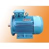 德州恒力Y2系列三相異步電動機(jī)