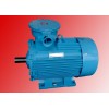 YB2-H系列船用隔爆型三相異步電動機(jī)低壓電機(jī)