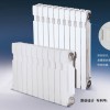 鑄鐵散熱器內(nèi)腔無砂TBD 建筑熱水或蒸汽供暖系統(tǒng)