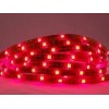 5050,60燈抽膠防水LED軟燈條紅光