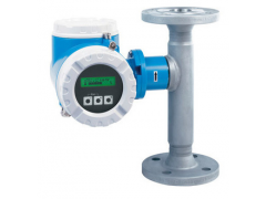 求購E+H 65F25-AE2AG1AAABCA,E+H 65熱式氣體質(zhì)量流量計