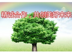 求購(gòu)改制上市咨詢(xún)服務(wù)