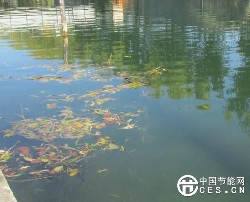 QQ截圖20180125105259