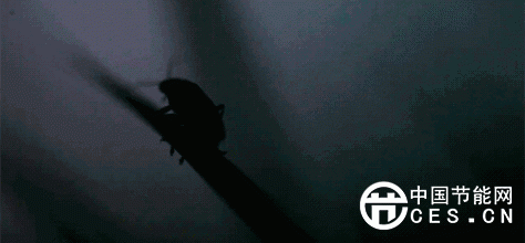 關(guān)于光與照明的冷知識，你知道幾個？