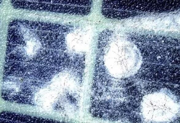 QQ截圖20180130125255