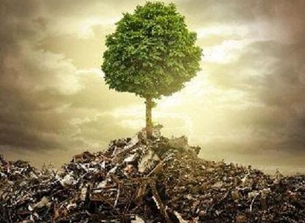 QQ截圖20180202133514