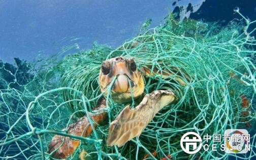 QQ截圖20180406085726