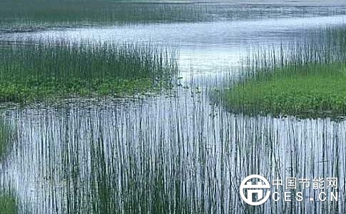 QQ截圖20180412102429