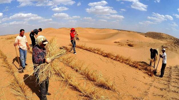 QQ截圖20180420072134