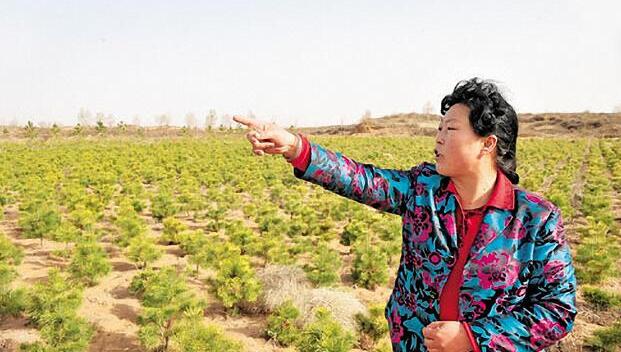 QQ截圖20180420072059