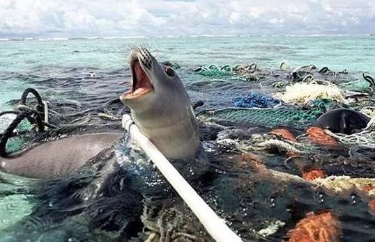 QQ截圖20180423070941