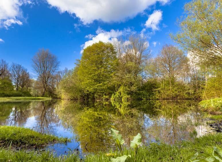 QQ截圖20180426181315