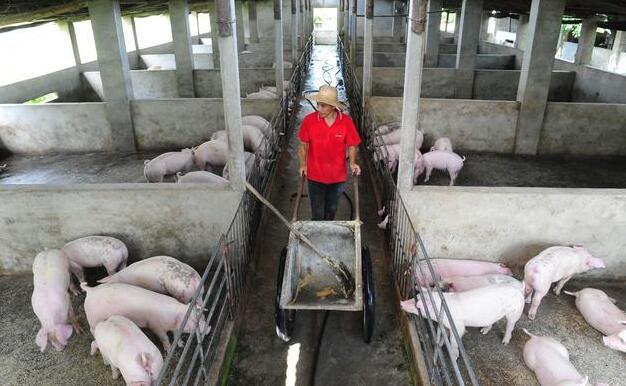 QQ截圖20180428160908