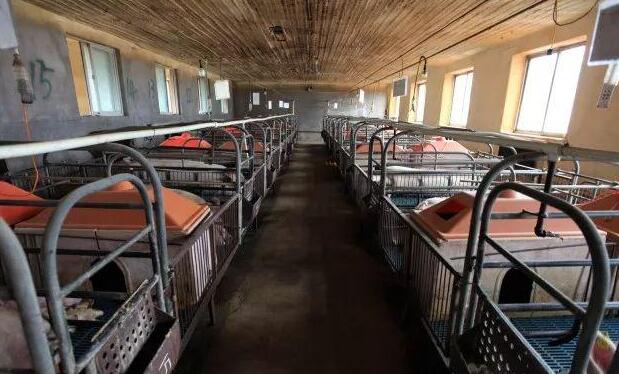 QQ截圖20180517080301