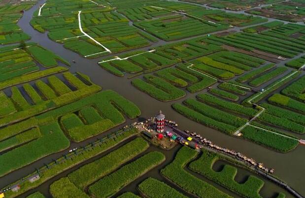 QQ截圖20180521123057