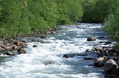 QQ截圖20180521130039