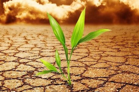 QQ截圖20180522070530