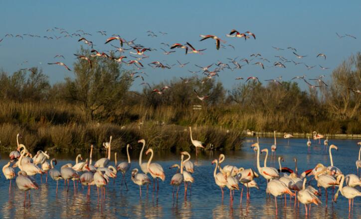 QQ截圖20180523081128