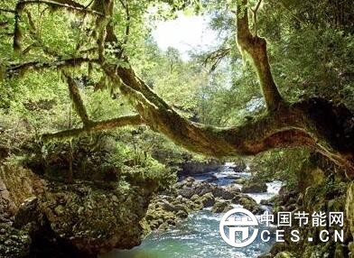 QQ截圖20180528224217