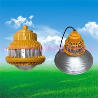 BAD810 LED防爆工廠燈 LED防爆平臺(tái)燈 護(hù)欄防爆燈