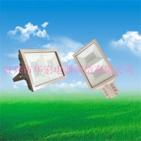 LED防爆泛燈 BAD808-L2LED防爆路燈200W