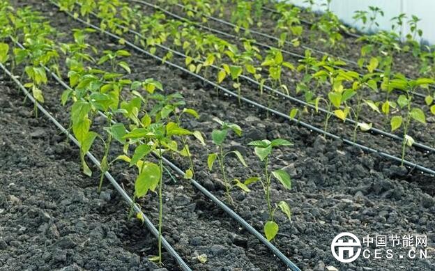 QQ截圖20180603060615