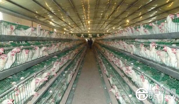 QQ截圖20180603080250