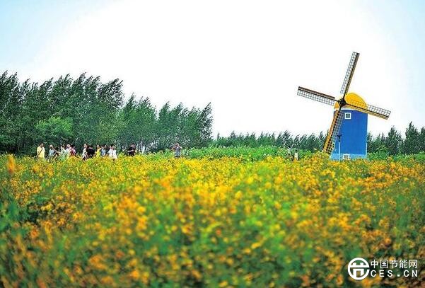 QQ截圖20180607082911