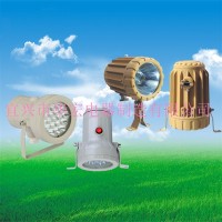 容器防爆照明  隔爆型防爆視孔燈（ⅡB、ⅡC）