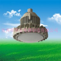 防爆led led安全防爆燈 80W 100W