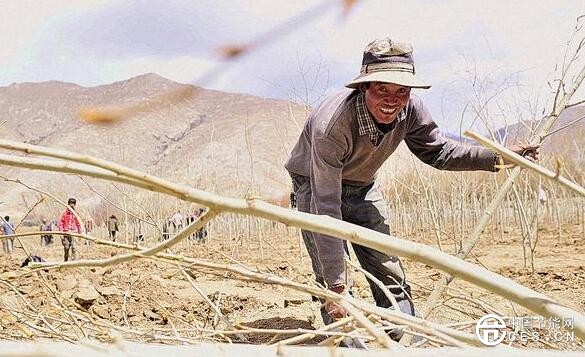 QQ截圖20180611092524