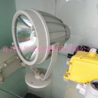 防爆投光燈	IIC級防爆投光燈 IIB級防爆泛光燈