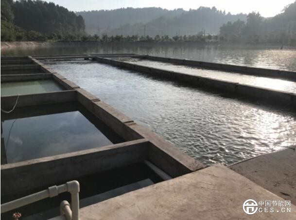 低碳節(jié)能丨了不起的“內(nèi)循環(huán)養(yǎng)魚”