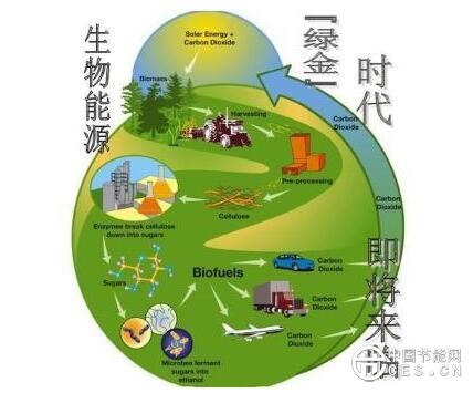 QQ截圖20180612070645