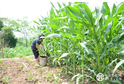 QQ截圖20180626074507