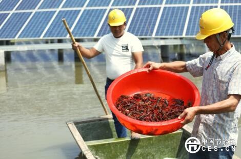 QQ截圖20180626075733