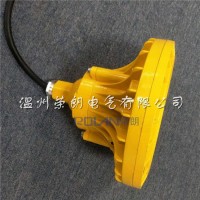 BLD110-30WLED防爆燈；廊道用防爆泛光燈