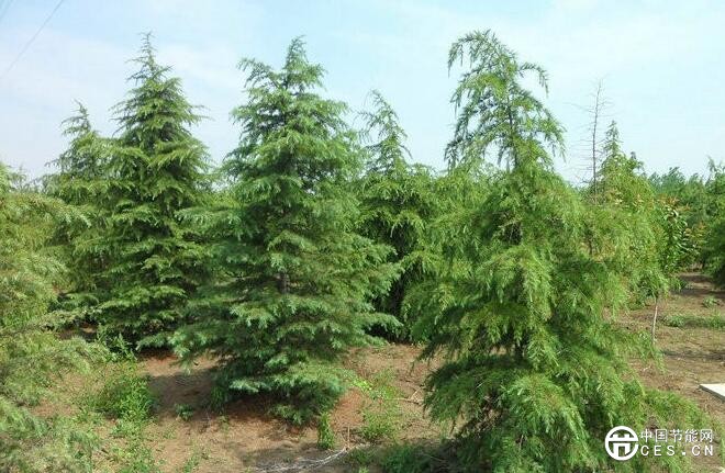 QQ截圖20180803071816