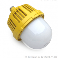低能耗50WLED防爆燈；油庫(kù)GCD616防爆平臺(tái)燈