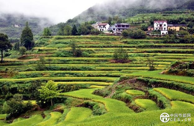 QQ截圖20180813130710