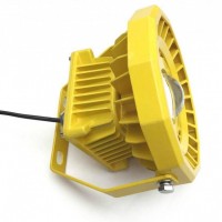 BLD102-60WLED防爆燈/低能耗防爆平臺(tái)燈