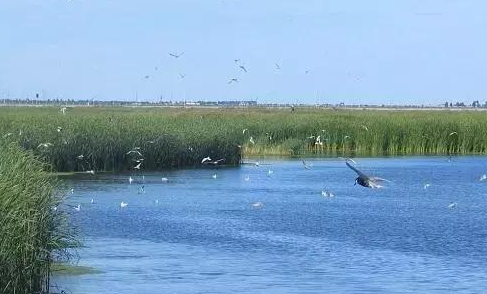 QQ截圖20180912221838