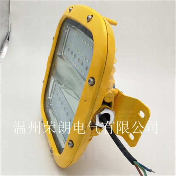 廠家批發(fā)65WLED防爆燈